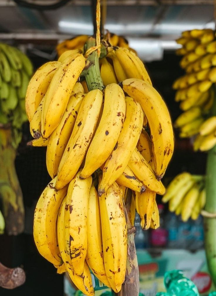 Bananes plantain