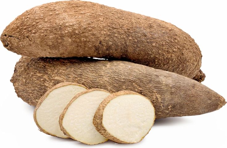 Manioc