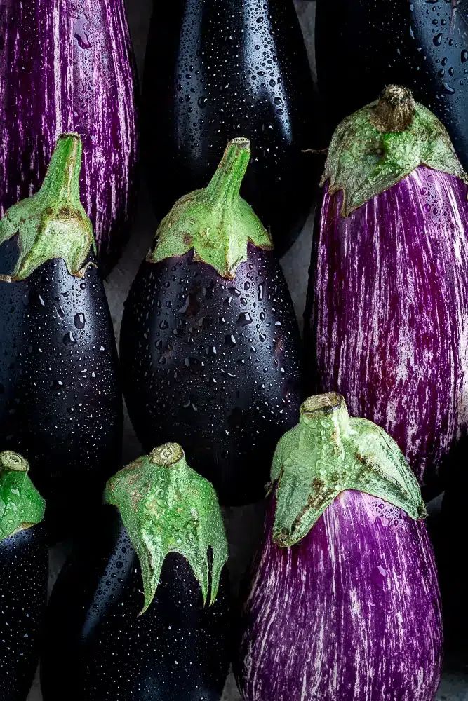 Aubergine