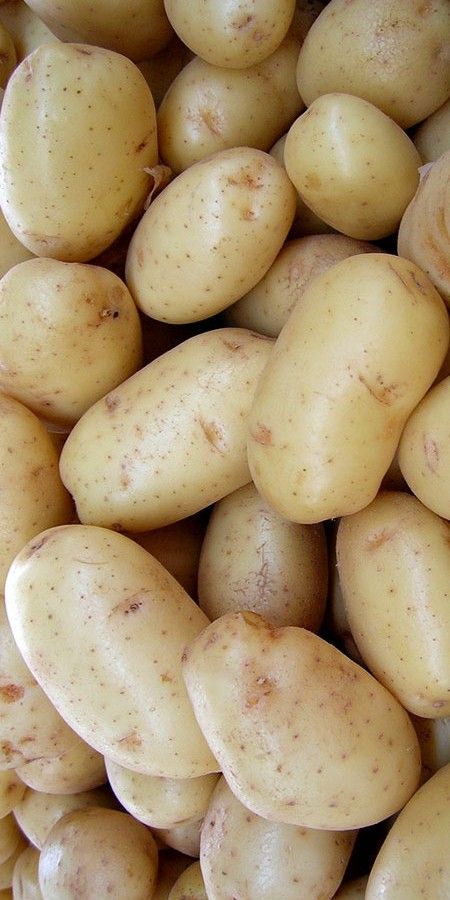 Pomme de terre
